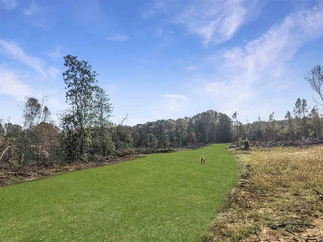 0 Good Hope Road Edwards, MS 39066 - Photo 2 of 20 Photo 2