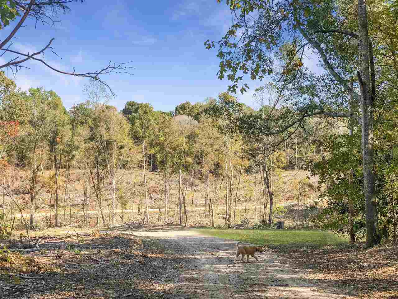 0 Good Hope Road Edwards, MS 39066 - Photo 4 of 20 Photo 4