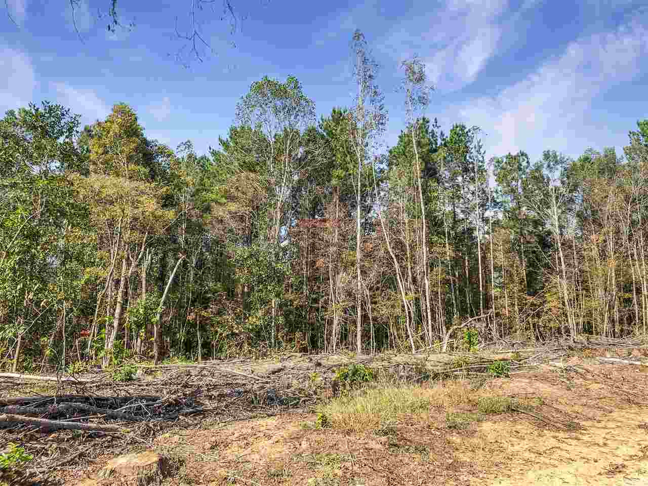 0 Good Hope Road Edwards, MS 39066 - Photo 5 of 20 Photo 5