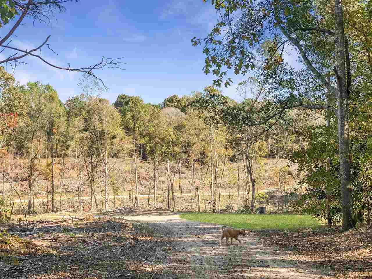 0 Good Hope Road Edwards, MS 39066 - Photo 7 of 20 Photo 7
