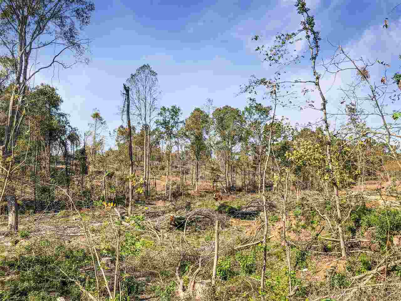 0 Good Hope Road Edwards, MS 39066 - Photo 8 of 20 Photo 8