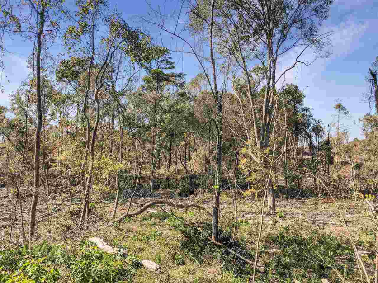 0 Good Hope Road Edwards, MS 39066 - Photo 9 of 20 Photo 9