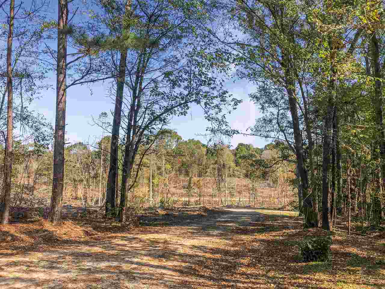 0 Good Hope Road Edwards, MS 39066 - Photo 10 of 20 Photo 10