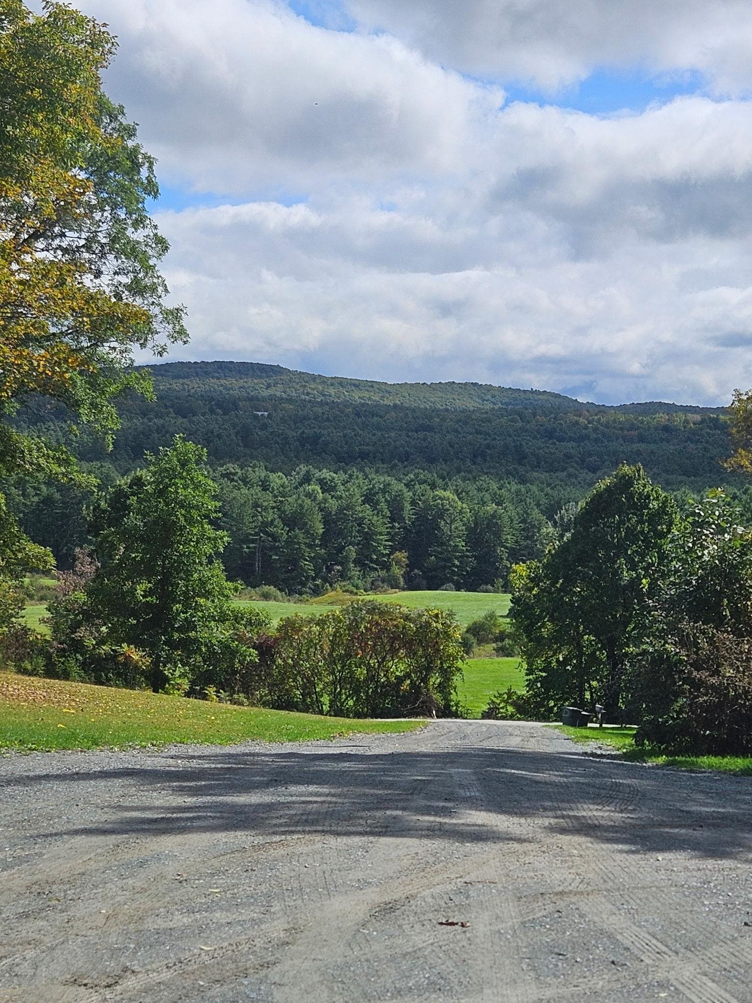 731 Howard Hill Road Benson, VT 05743 - Photo 37 of 56 Gallery Image 37