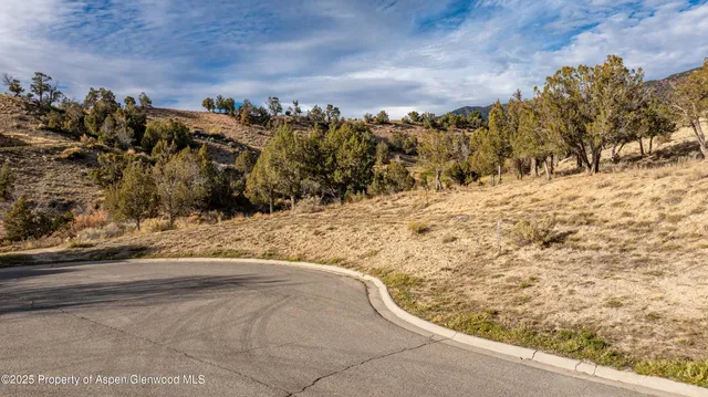 a view of a yard with snow on the road