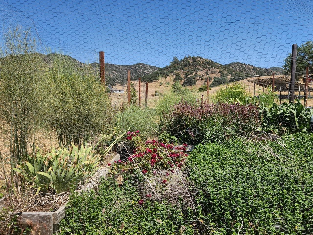 13557 Oak Valley Road Caliente, CA 93518 - Photo 40 of 49 Gallery Image 40