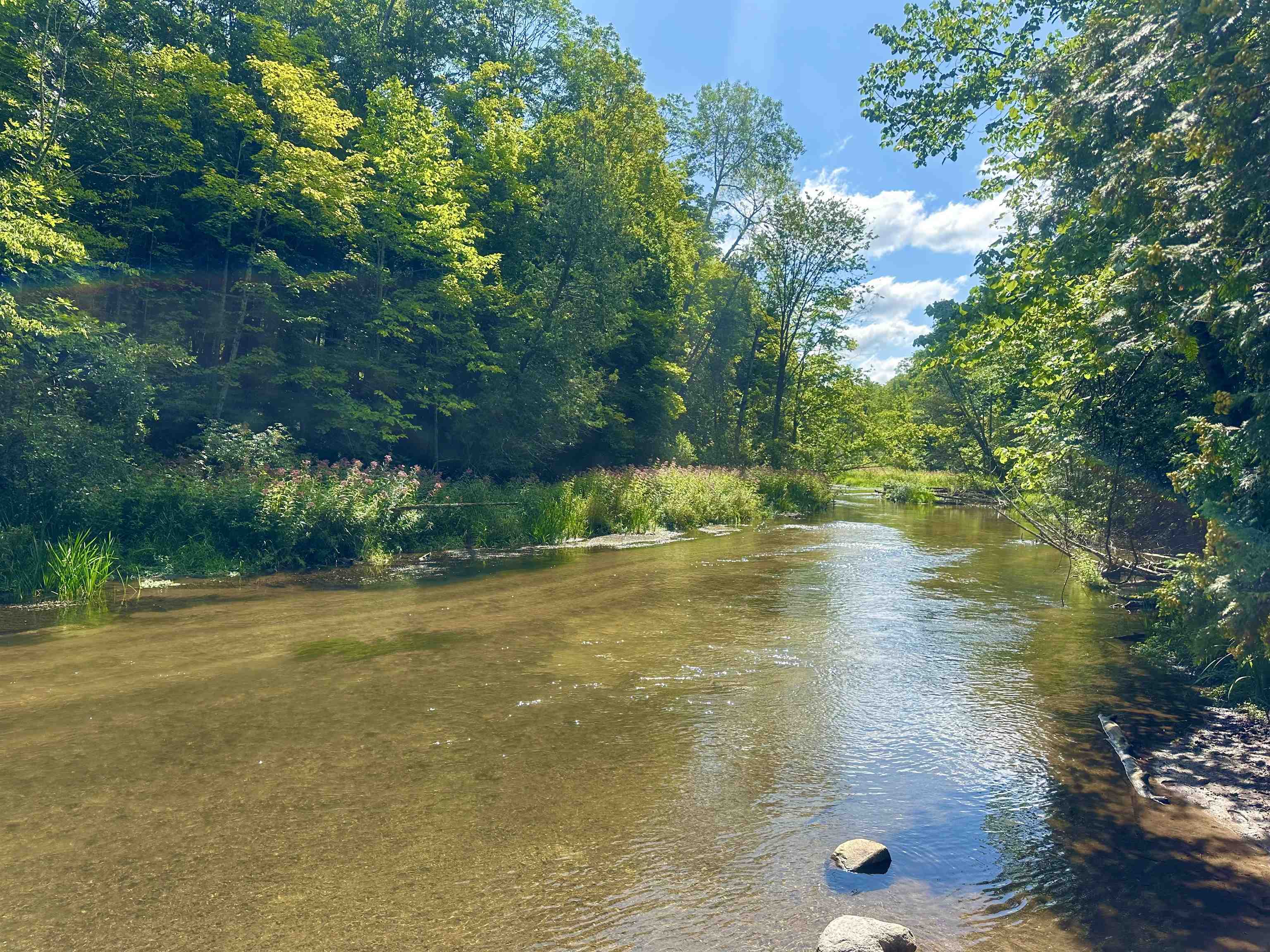 0 Psutka Road Thompsonville, MI 49683 - Photo 11 of 12