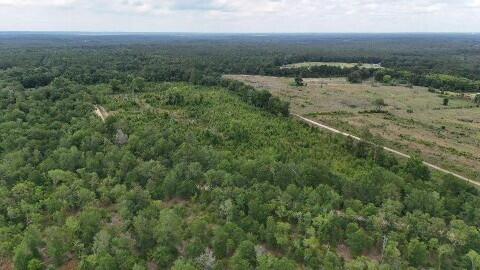0 Rogers Cemetery Road Salley, SC 29137 - Photo 6 of 6