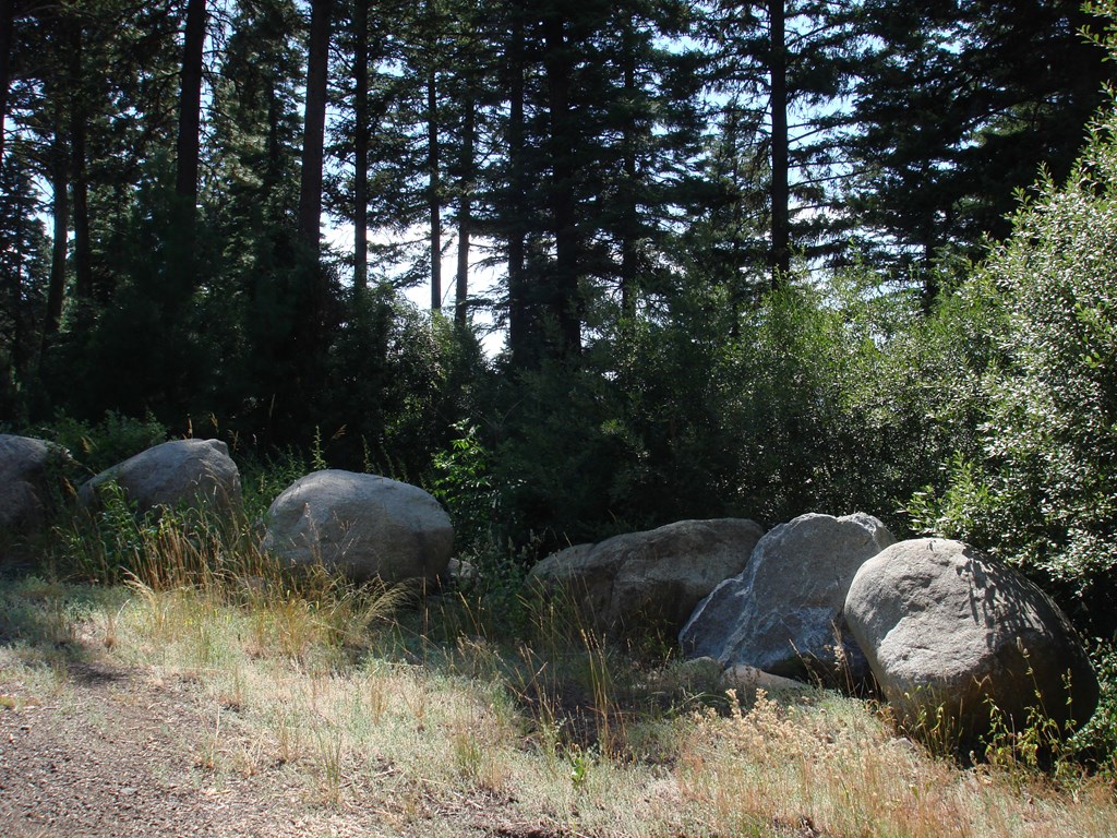 Lot 68 Aspen Ridge Lane, Unit 68 McCall, ID 83638 - Photo 7 of 9
