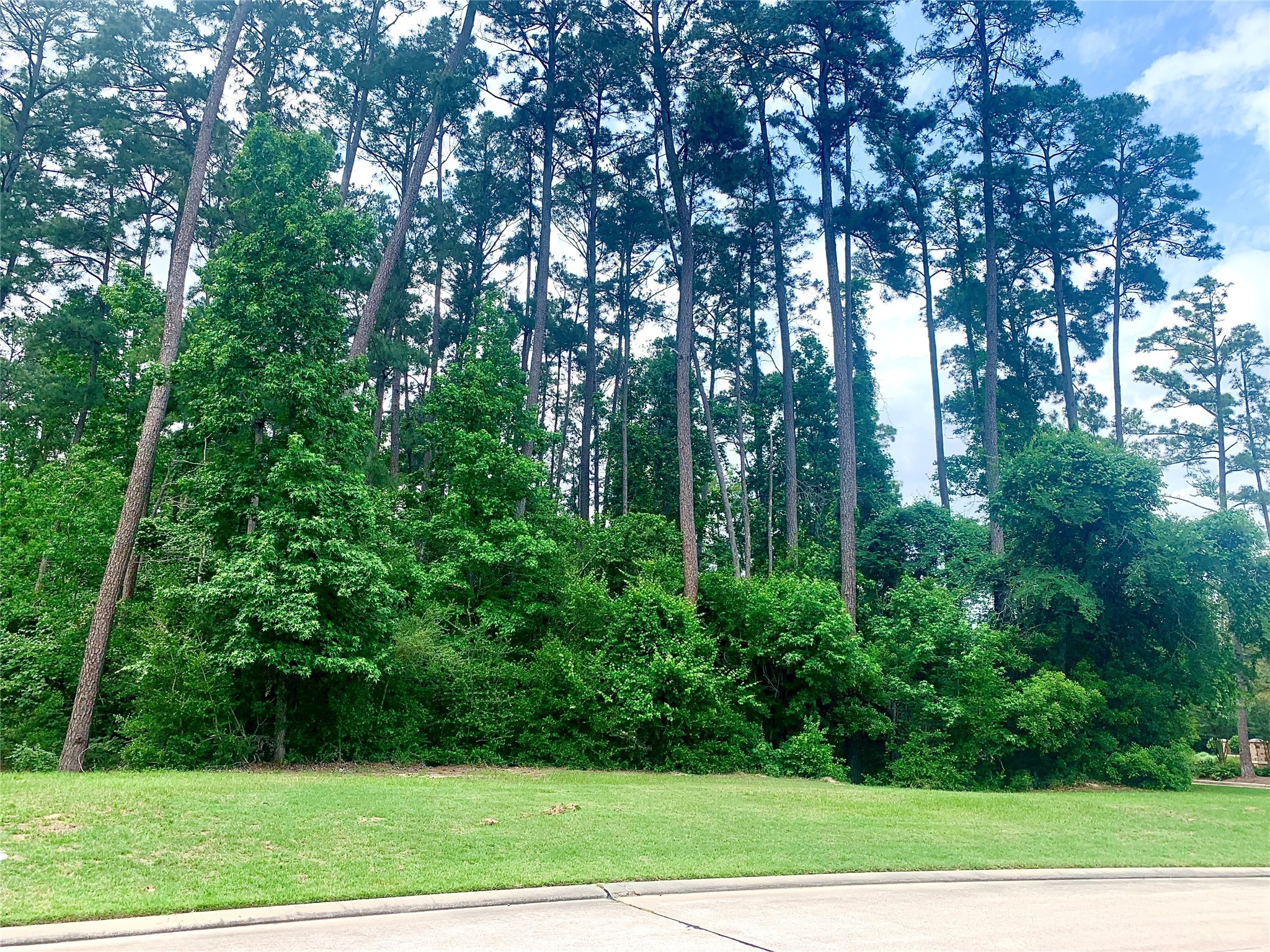 67 North Glenwild Circle Spring, TX 77389 - Photo 4 of 10 a view of backyard with green space