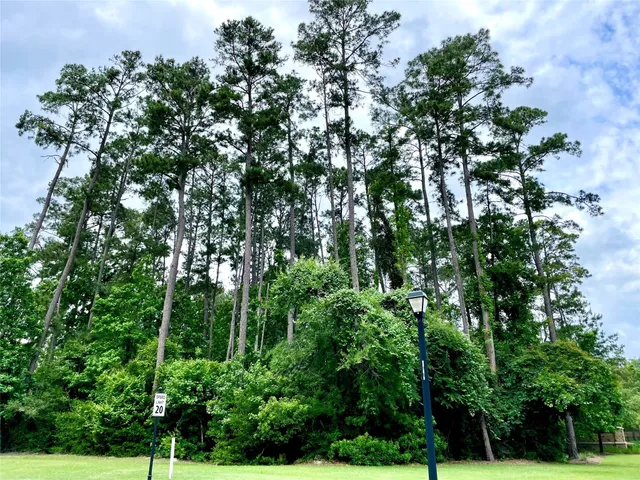 $1,350,000 | 67 North Glenwild Circle, Spring, TX 77389