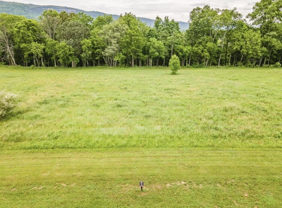 36 River Ridge Drive Dunlap, TN 37327 - Photo 9 of 26