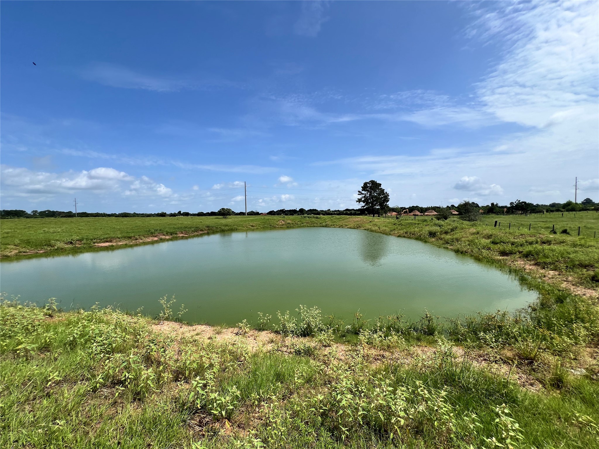 20573 Fontenot Lane Hempstead, TX 77445 - Photo 6 of 32 This photo showcases a tranquil pond surrounded by lush green grass under a clear blue sky, offering a serene and picturesque setting ideal for a rural or countryside property.