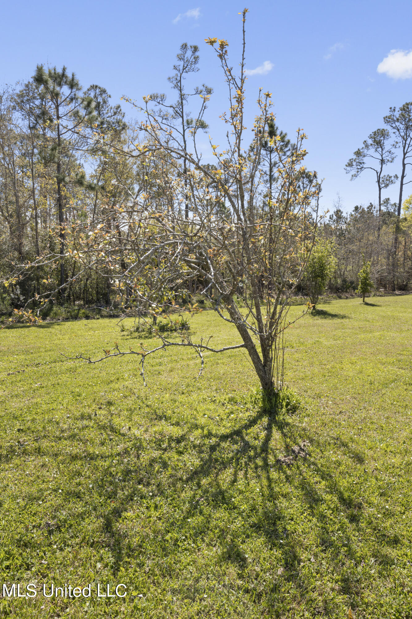 24052 Arcadia Farm Road Pass Christian, MS 39571 - Photo 30 of 32 030