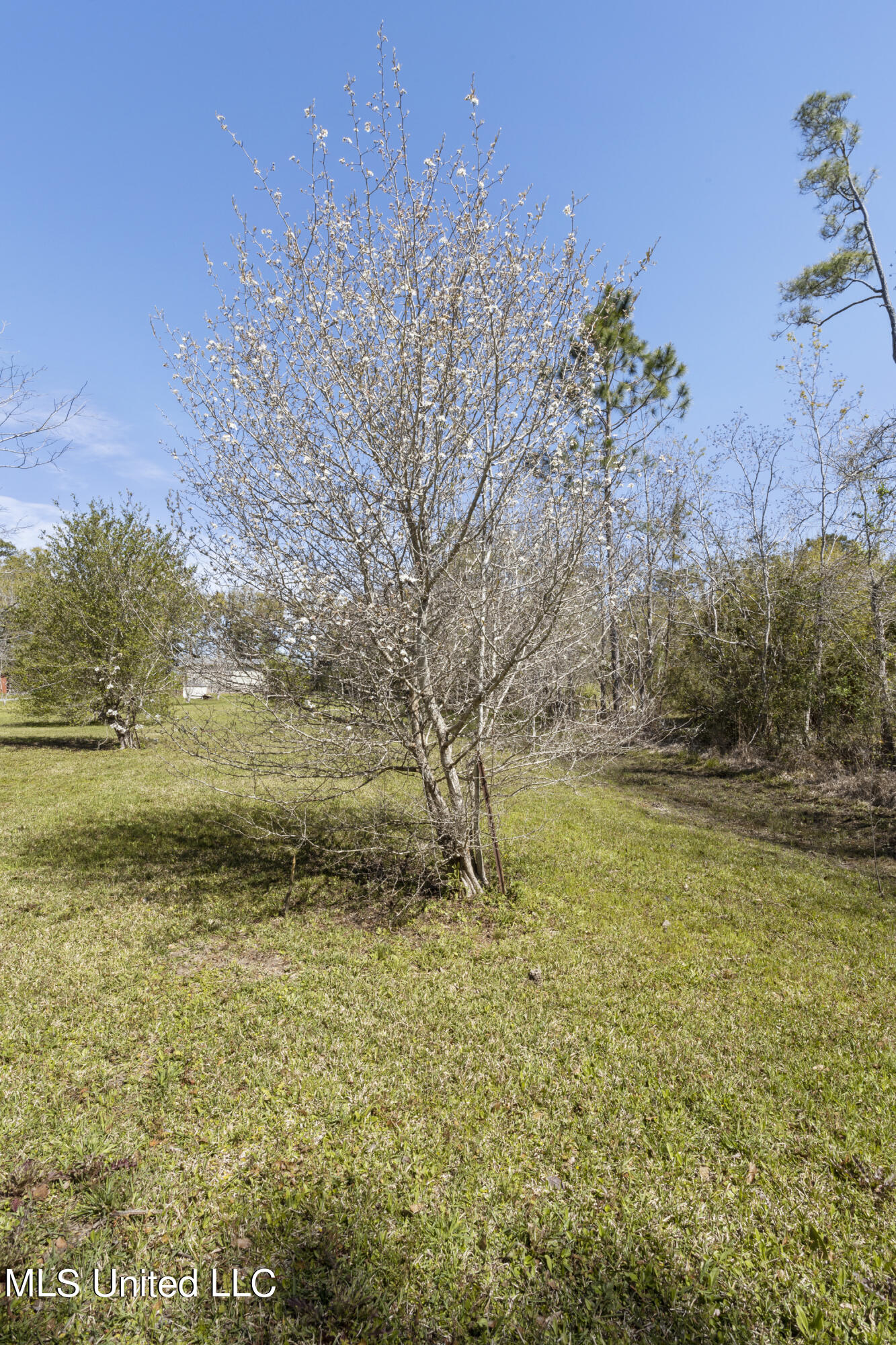 24052 Arcadia Farm Road Pass Christian, MS 39571 - Photo 32 of 32 032