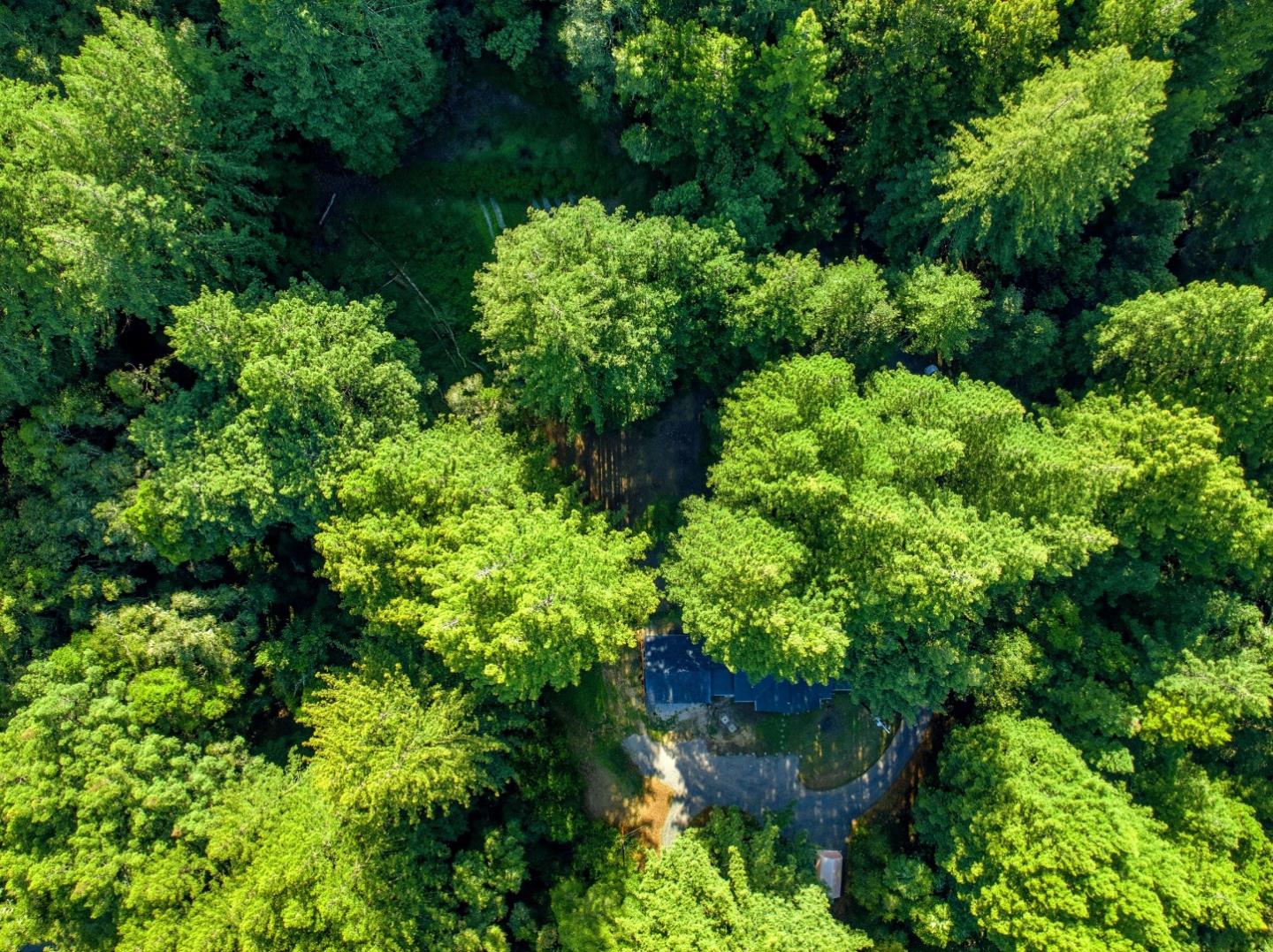 1460 Tucker Road Scotts Valley, CA 95066 - Photo 25 of 32 an aerial view of a garden with plants