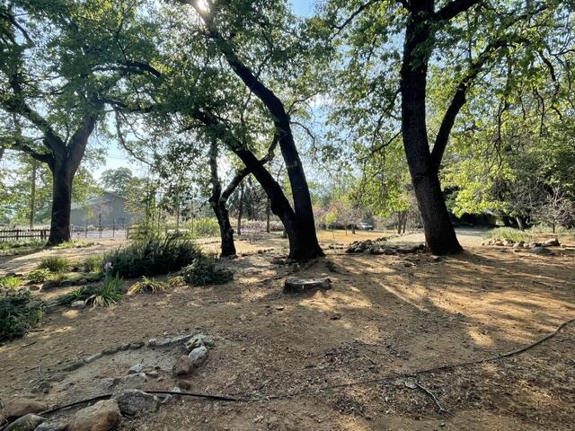 46967 Blue Ridge Drive Springville, CA 93265 - Photo 12 of 63