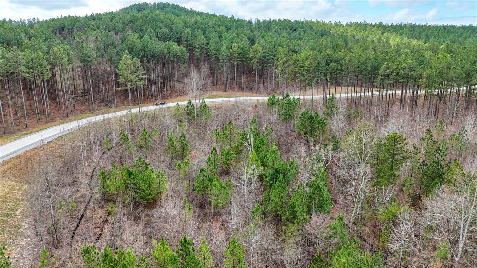 0 Birds Eye Way, Unit LOT 1065 Guild, TN 37340 - Photo 16 of 29 13-Birds Eye Way #1065-13