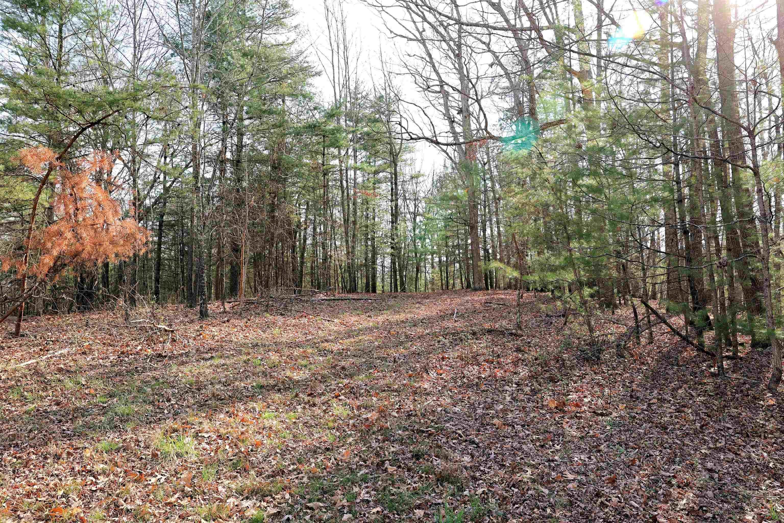 4237 Laburnum Road Pilot, VA 24138 - Photo 29 of 45 Gallery Image 29