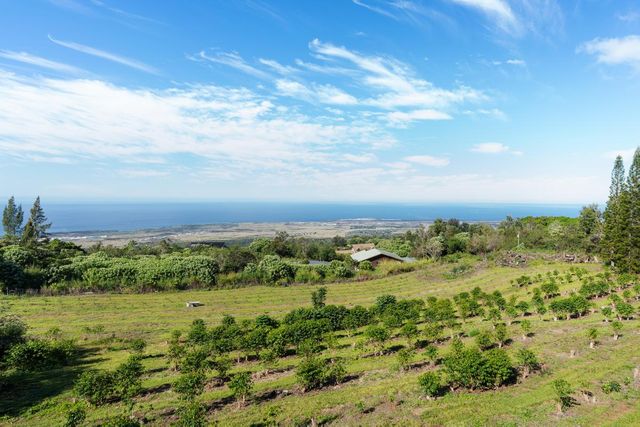 a view of a yard with plants and wooden fence
