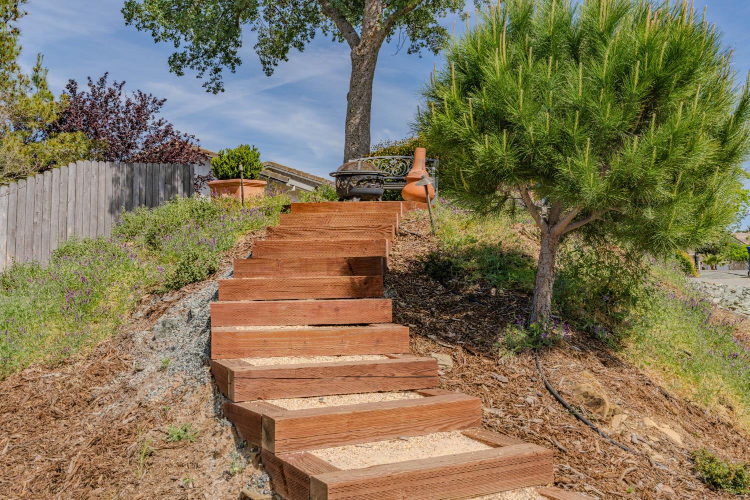 532 Oakridge Road Valley Springs, CA 95252 - Photo 11 of 89 a view of statue in middle of garden