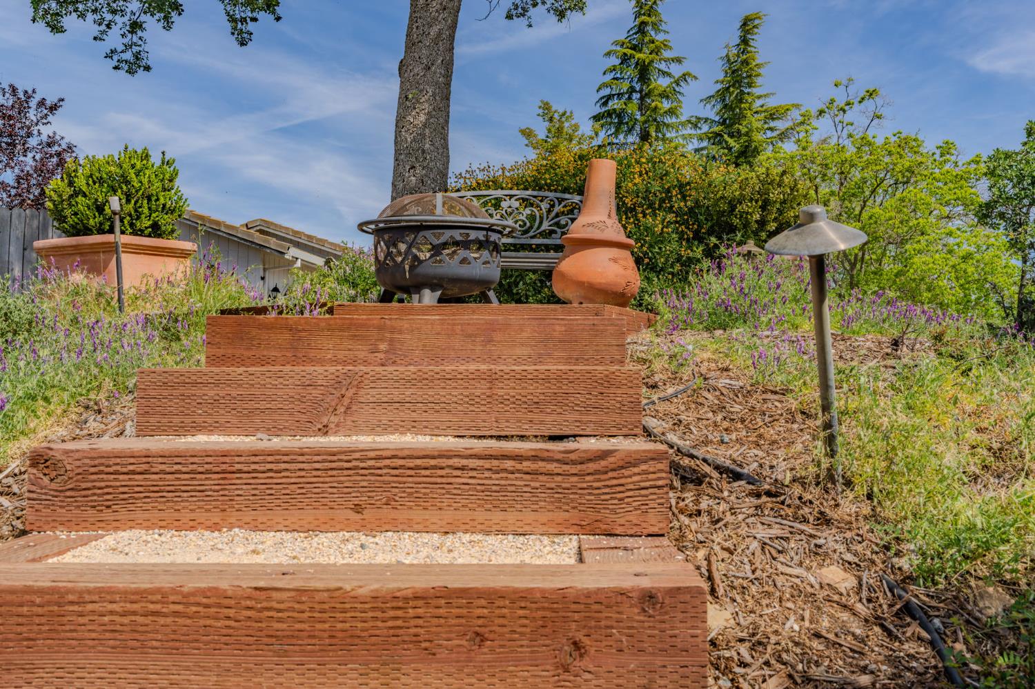 532 Oakridge Road Valley Springs, CA 95252 - Photo 12 of 89 a backyard of a house with lots of green space