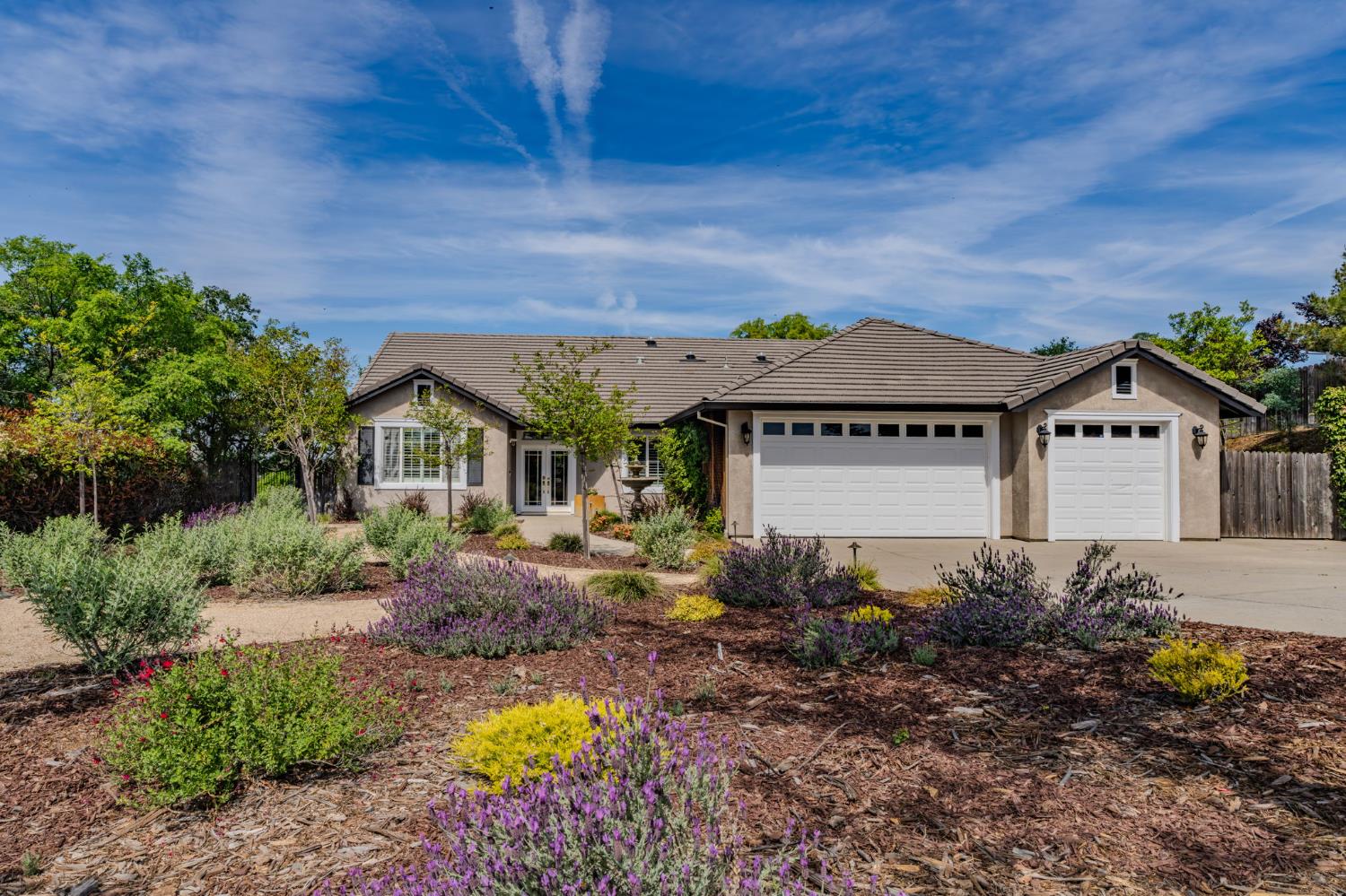 532 Oakridge Road Valley Springs, CA 95252 - Photo 15 of 89 a view of a house with a yard and plants