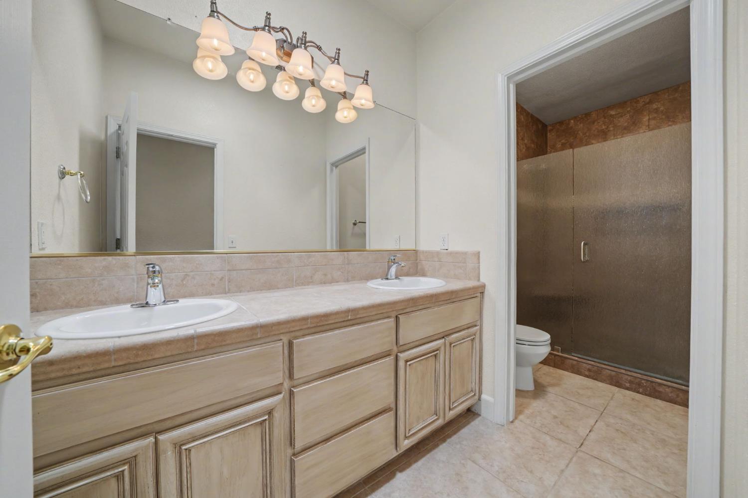532 Oakridge Road Valley Springs, CA 95252 - Photo 43 of 89 a bathroom with a sink a toilet and a mirror