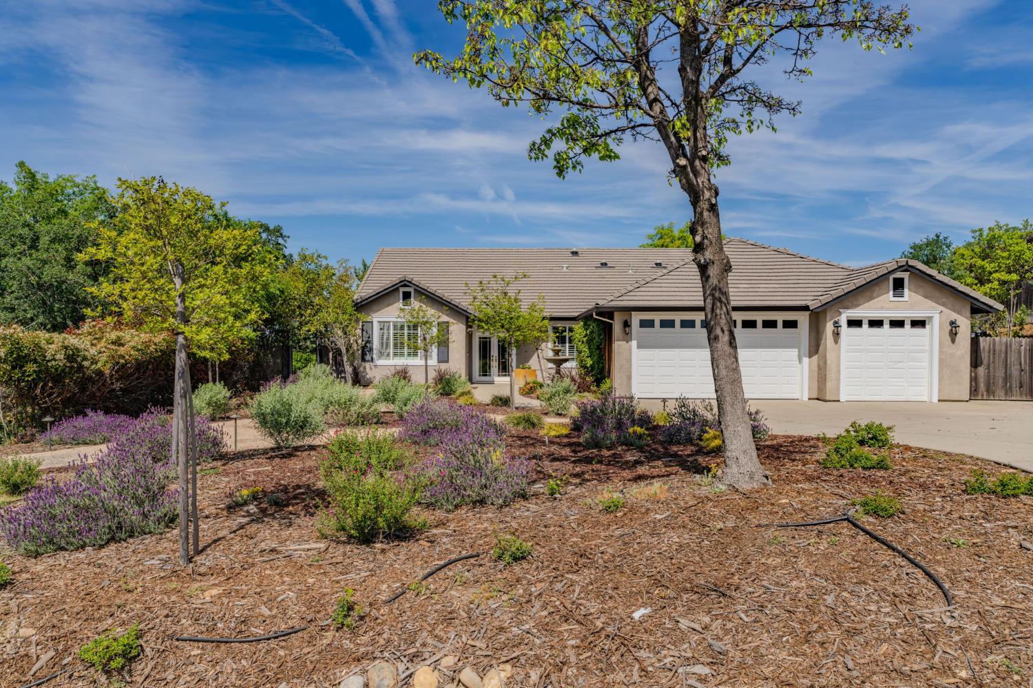 532 Oakridge Road Valley Springs, CA 95252 - Photo 9 of 89