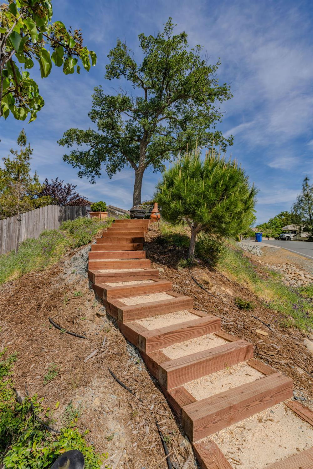 532 Oakridge Road Valley Springs, CA 95252 - Photo 10 of 89 a view of a yard with plants