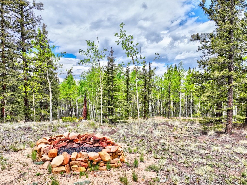 a view of a yard with plants and trees
