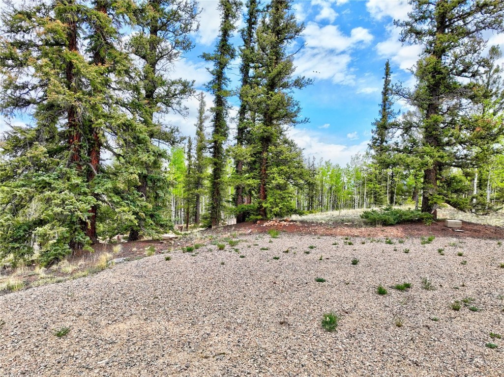 522 Tepee Trail Como, CO 80456 - Photo 2 of 9 a view of a dirt road with trees in the background