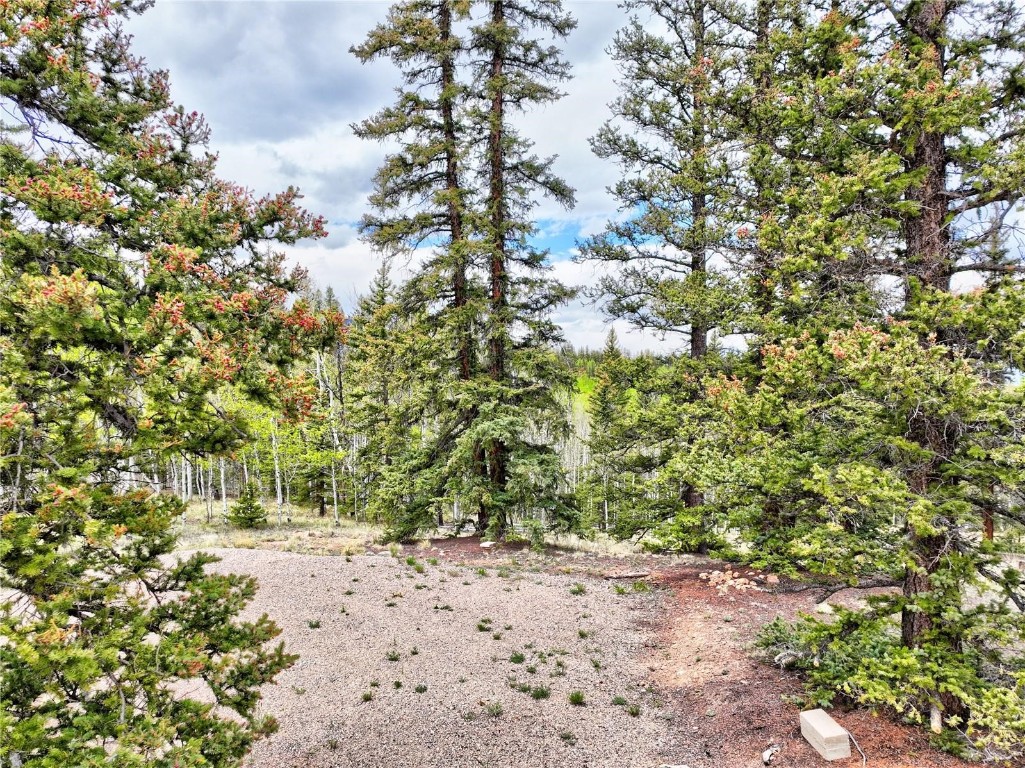 522 Tepee Trail Como, CO 80456 - Photo 4 of 9 a view of a yard with a tree