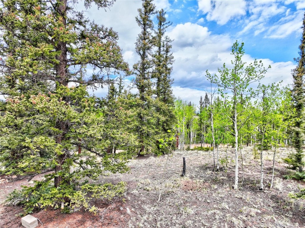 522 Tepee Trail Como, CO 80456 - Photo 5 of 9 a view of yard
