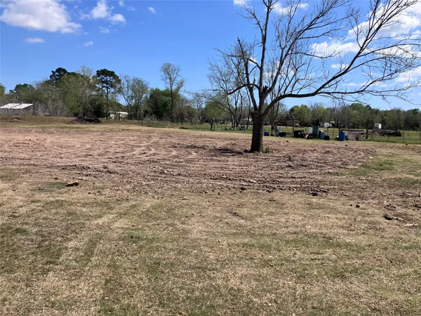 a view of a yard with trees