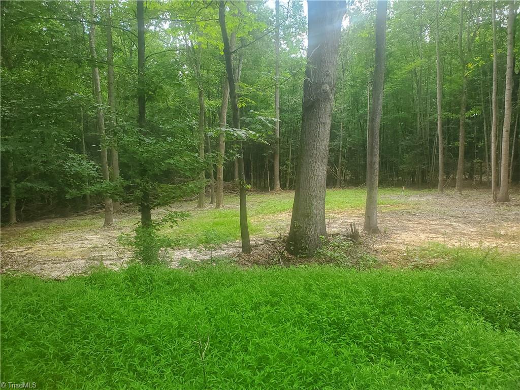 2 Osborn Mill Road Seagrove, NC 27341 - Photo 4 of 4 Gallery Image 4
