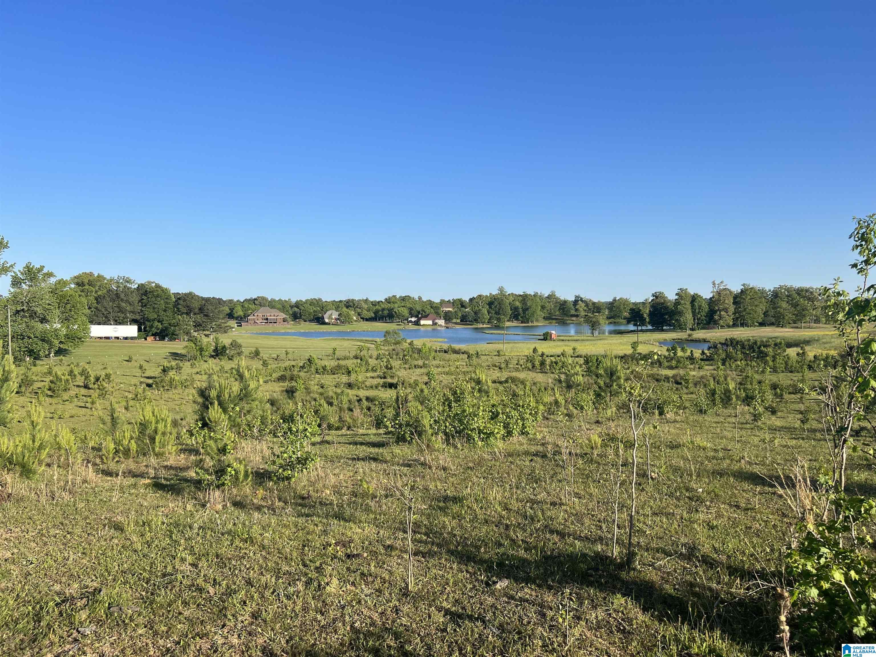 0 Oak Grove Road Gadsden, AL 35905 - Photo 9 of 10