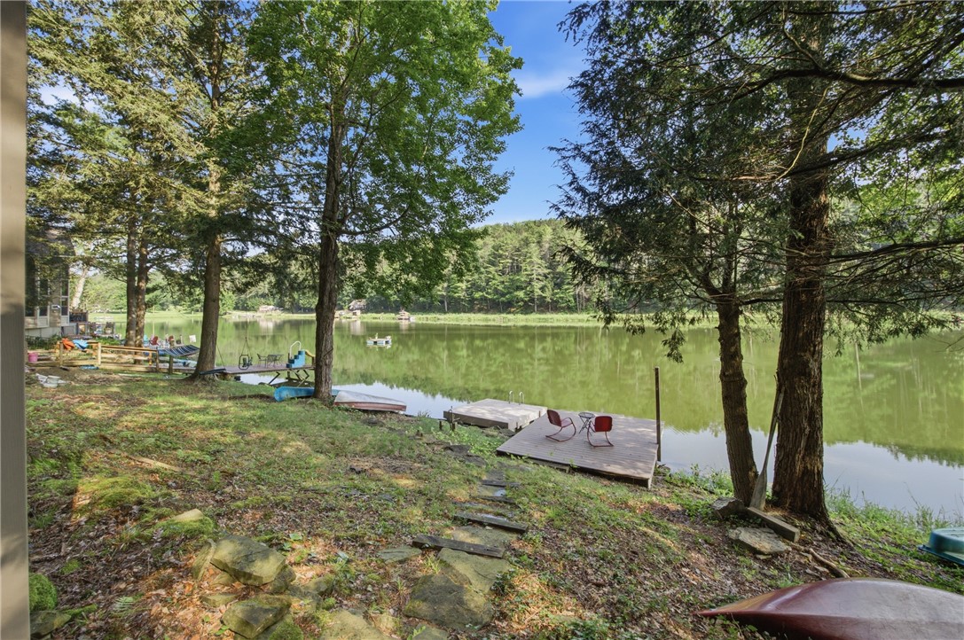 3819 Goodhue Lake Road Addison, NY 14801 - Photo 29 of 29