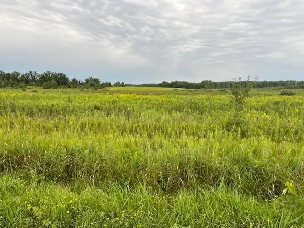 $84,320 | Tbd Olympic Street, Brook Park, MN 55007