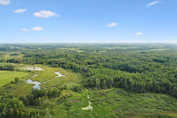 Tbd Olympic Street Brook Park, MN 55007 - Photo 5 of 5