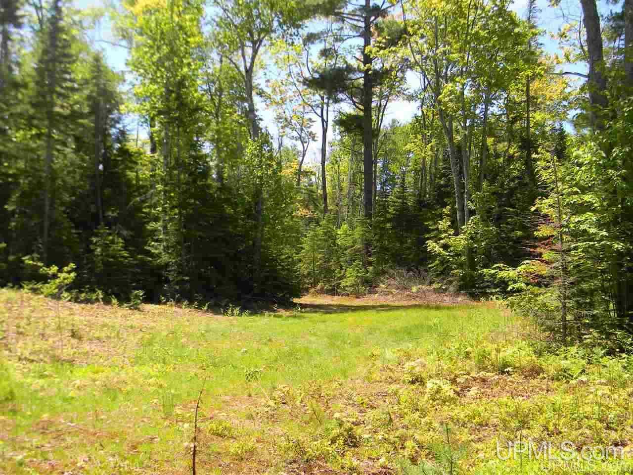Tbd Seven Mile Point Road, Unit LOT 15 Allouez, MI 49805 - Photo 16 of 19