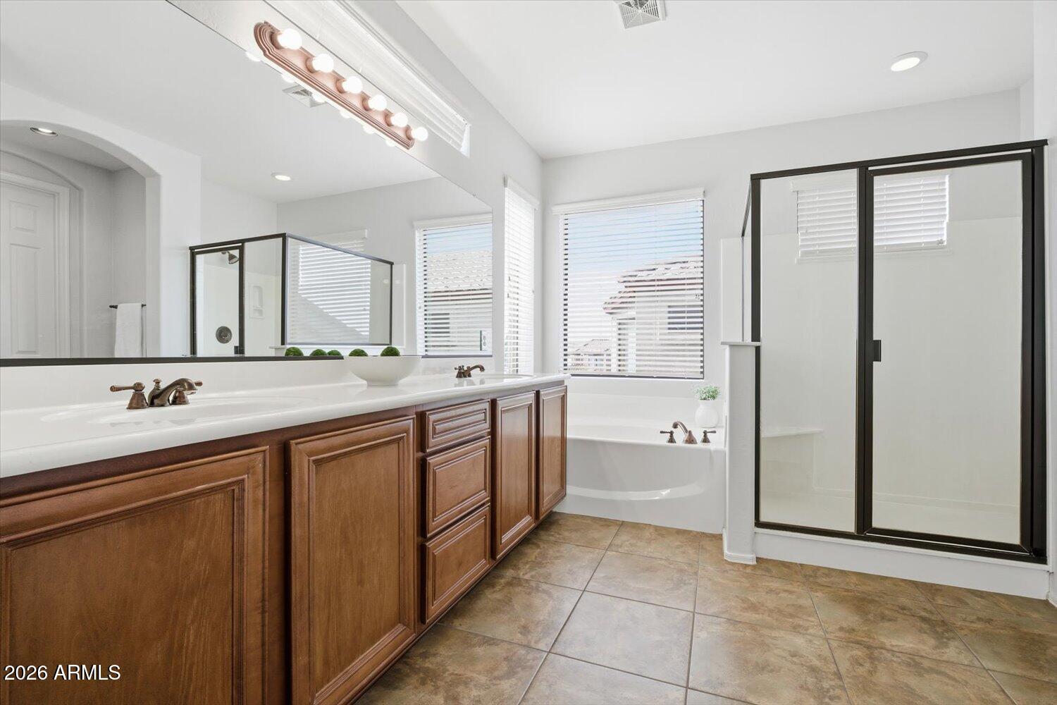 7253 East Nathan Street Mesa, AZ 85207 - Photo 15 of 34 a large bathroom with a double vanity sink a large mirror and a bathtub