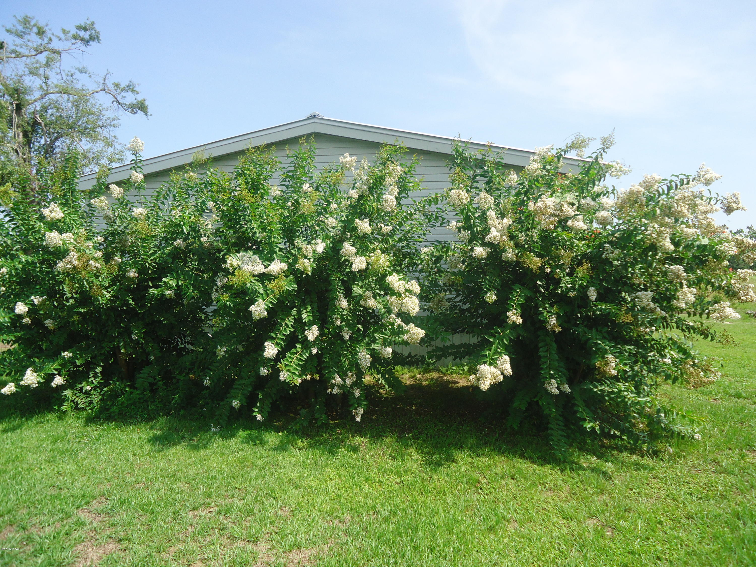2136 Morris Road, Unit D Cottondale, FL 32431 - Photo 5 of 41 Gallery Image 5
