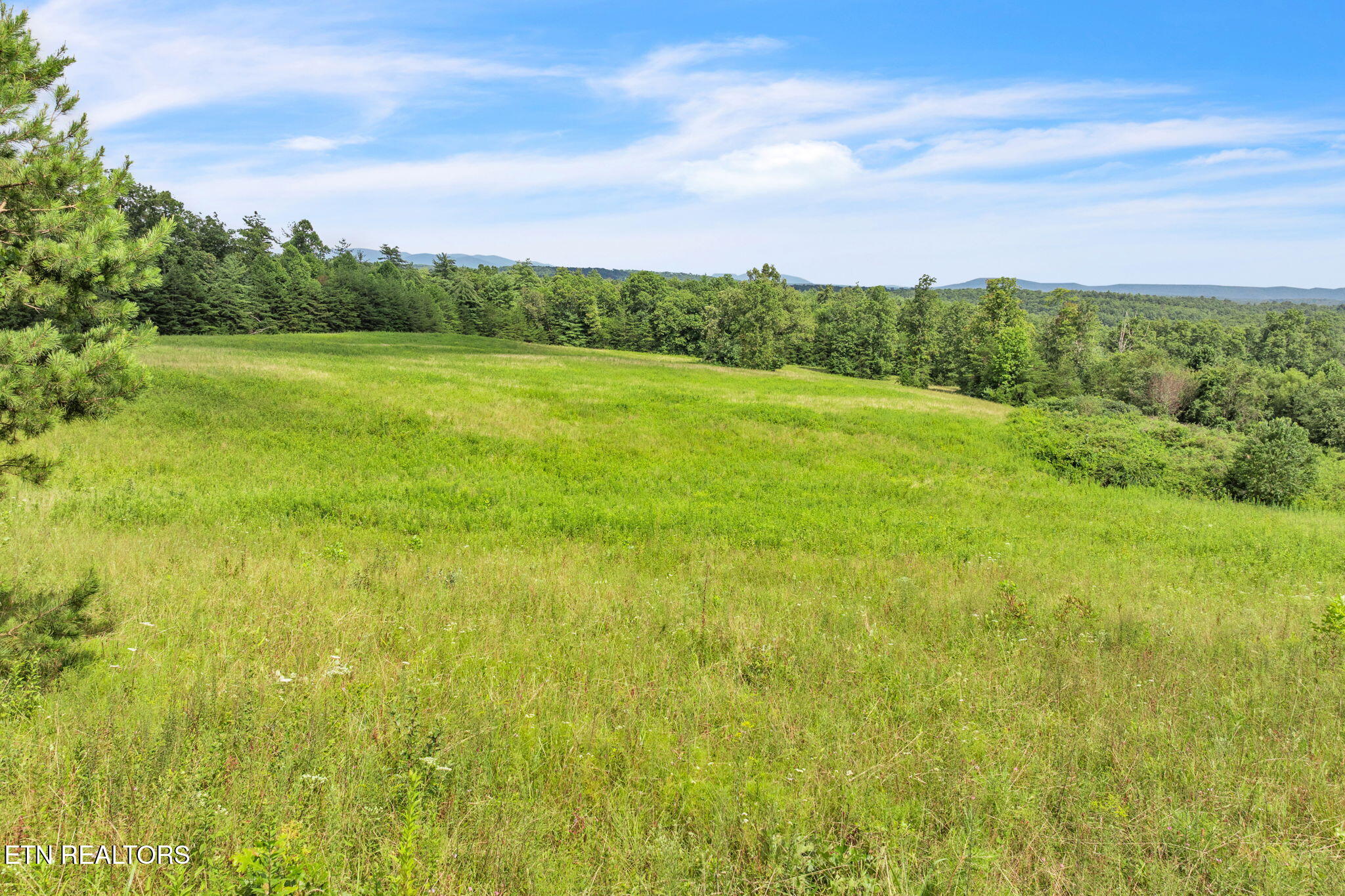 Nashville Highway Deer Lodge, TN 37726 - Photo 11 of 34 17-web-or-mls-Nashville Hwy--53