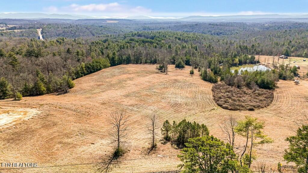 Nashville Highway Deer Lodge, TN 37726 - Photo 16 of 34 tempImageK2neBu