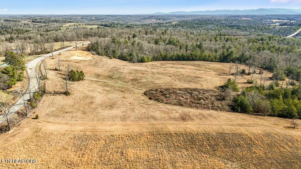 Nashville Highway Deer Lodge, TN 37726 - Photo 19 of 34 tempImageRZtFwK