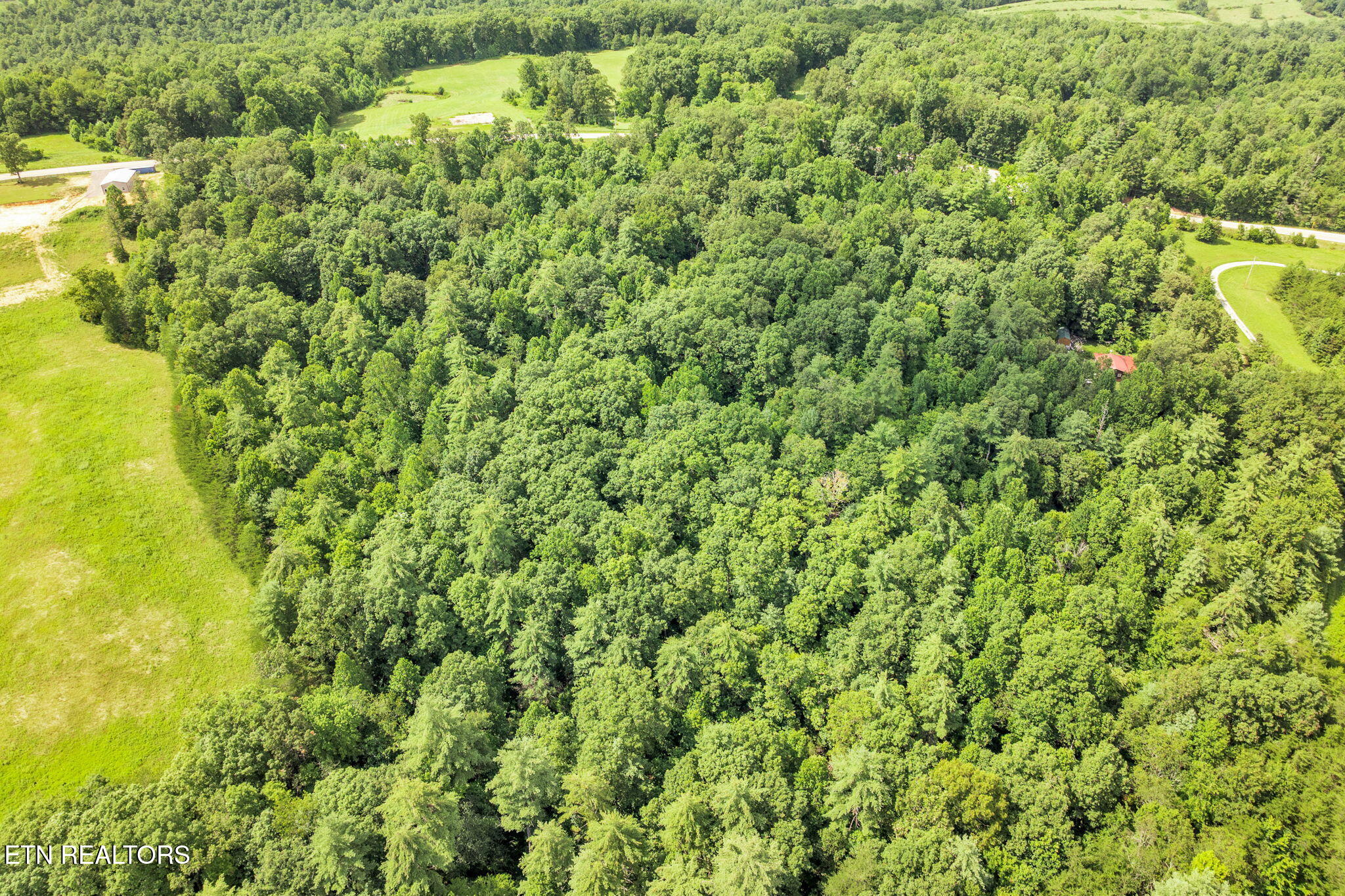 Nashville Highway Deer Lodge, TN 37726 - Photo 28 of 34 4-web-or-mls-Nashville Hwy--14