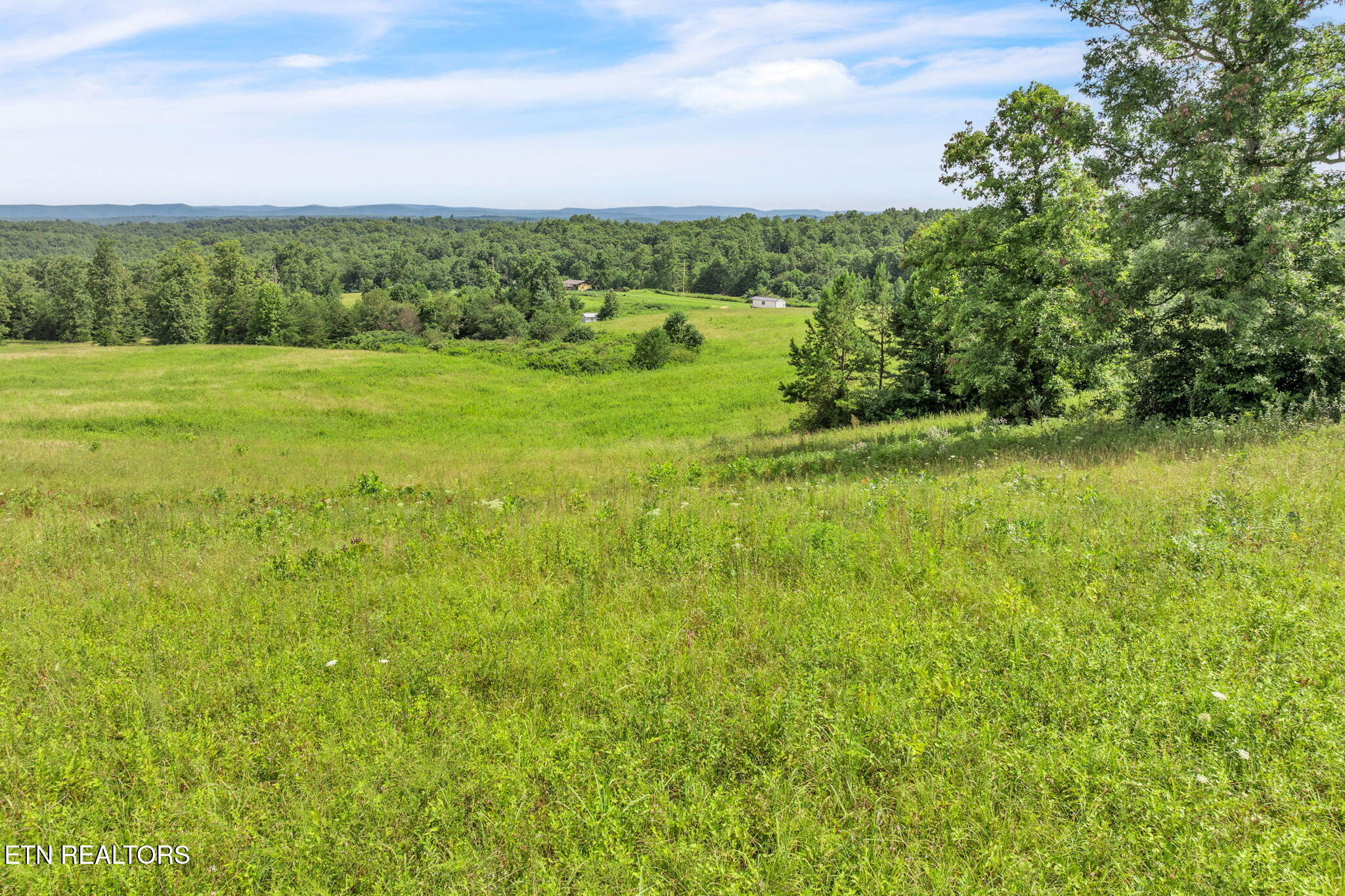 Nashville Highway Deer Lodge, TN 37726 - Photo 9 of 34 15-web-or-mls-Nashville Hwy--47