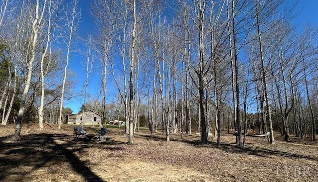 3101 Cody Road Nathalie, VA 24577 - Photo 2 of 16