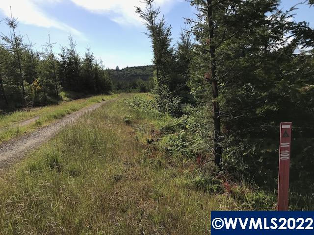 0 Old Military (frontage) Road Dallas, OR 97338 - Photo 11 of 12